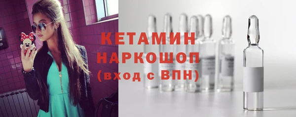 сатива Балахна