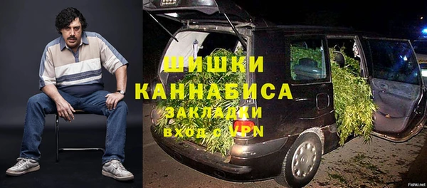 сатива Балахна