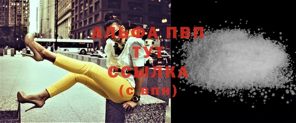 сатива Балахна