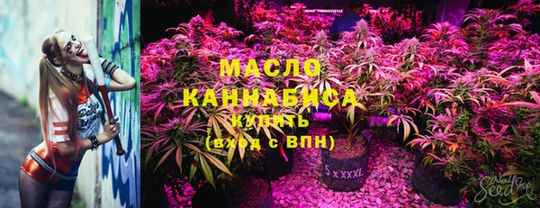 сатива Балахна